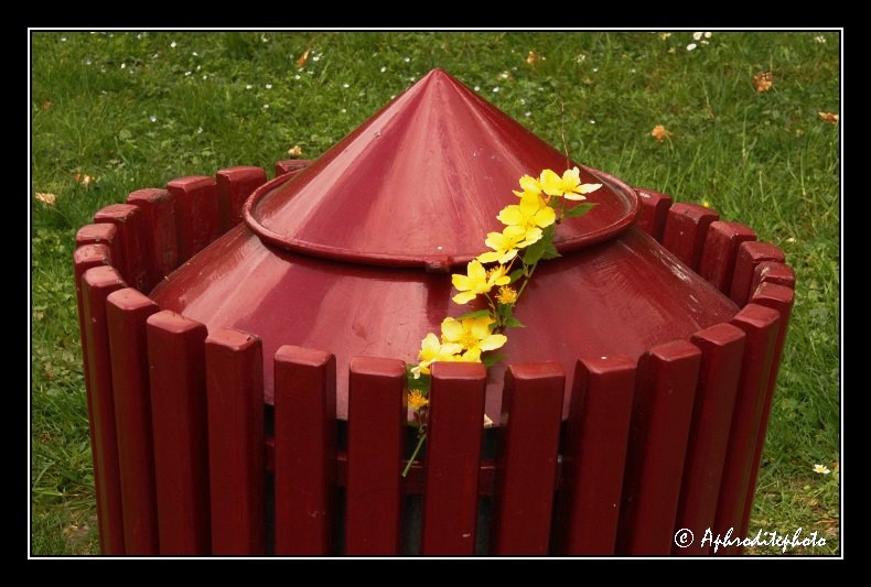 Genève, trash can with flowers